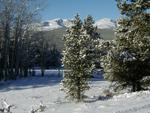 Winter Scene #4 - Elgin Park, Bighorn National Forest, west of Buffalo, Wyoming