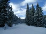Winter Scene #10 - Sourdough Road, Bighorn National Forest, west of Buffalo, Wyoming
